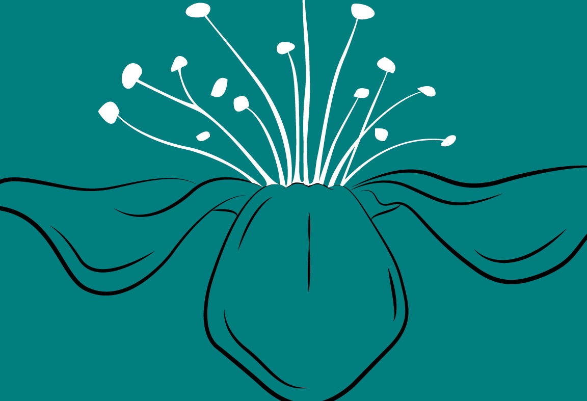 Logo Myyares